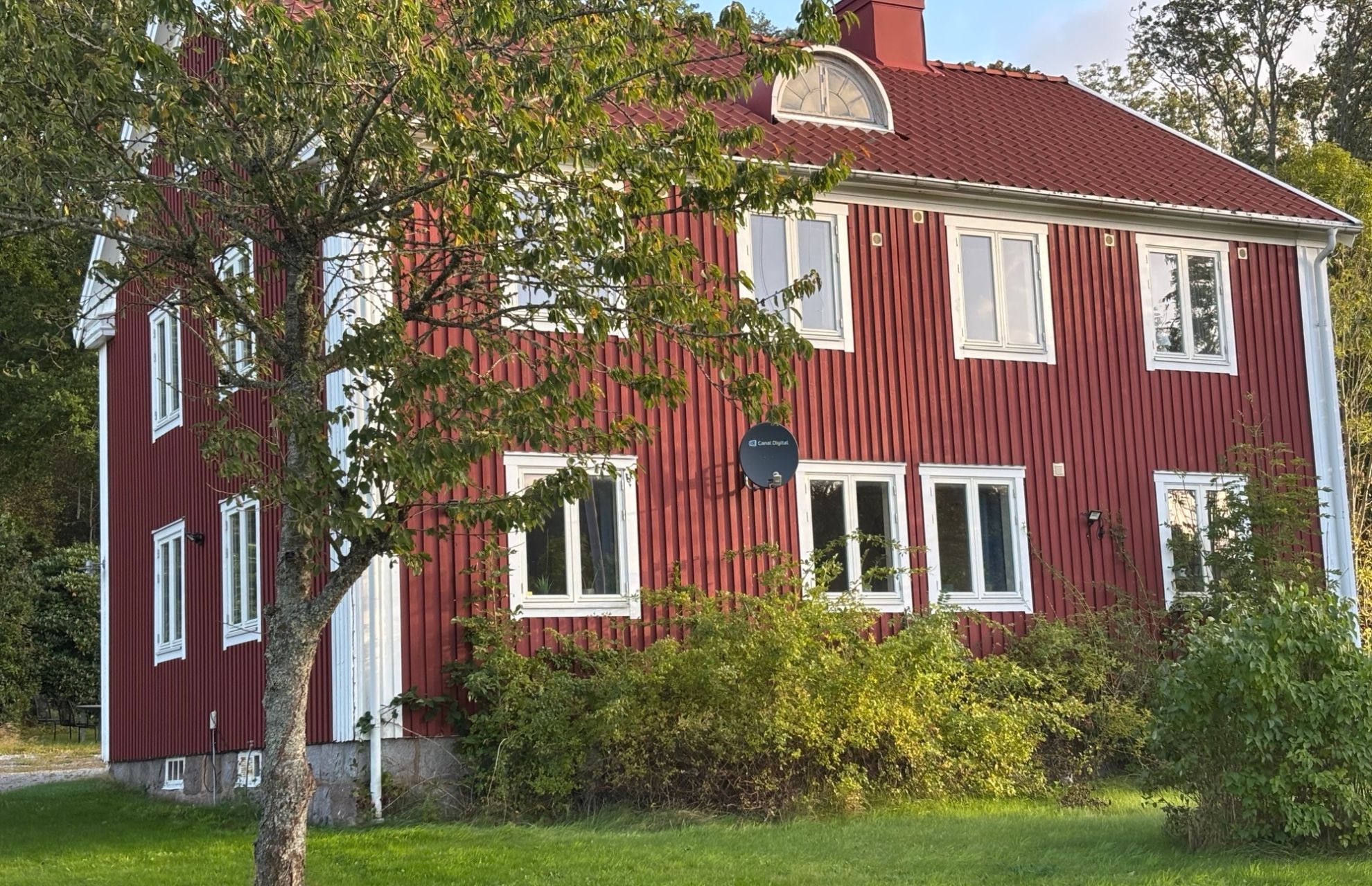 Rött, idylliskt trähus med vita fönster och tak i en grönskande trädgård 