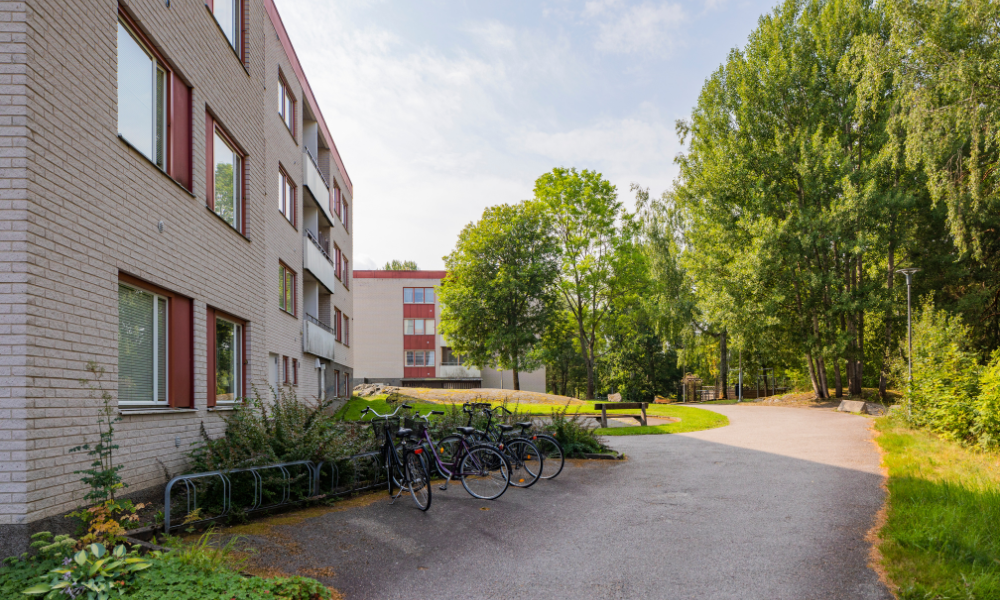 Röda äpplen på en gren på ett äppelträd