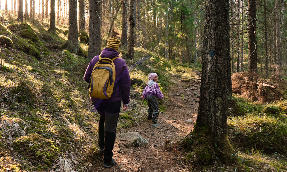 En vuxen person tillsammans med ett barn, båda med ryggsäck, promenerar på stig i solbelyst skog