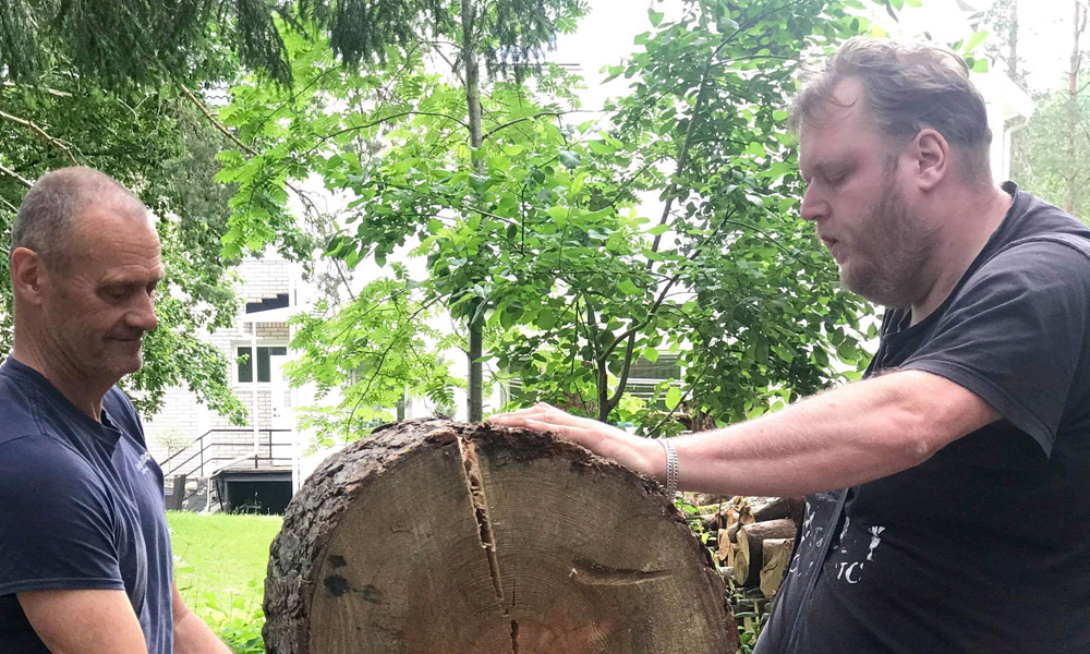 Två boende ska hugga ved av en stor trästock i en trädgårdsmiljö med gröna träd och ett hus i bakgrunden