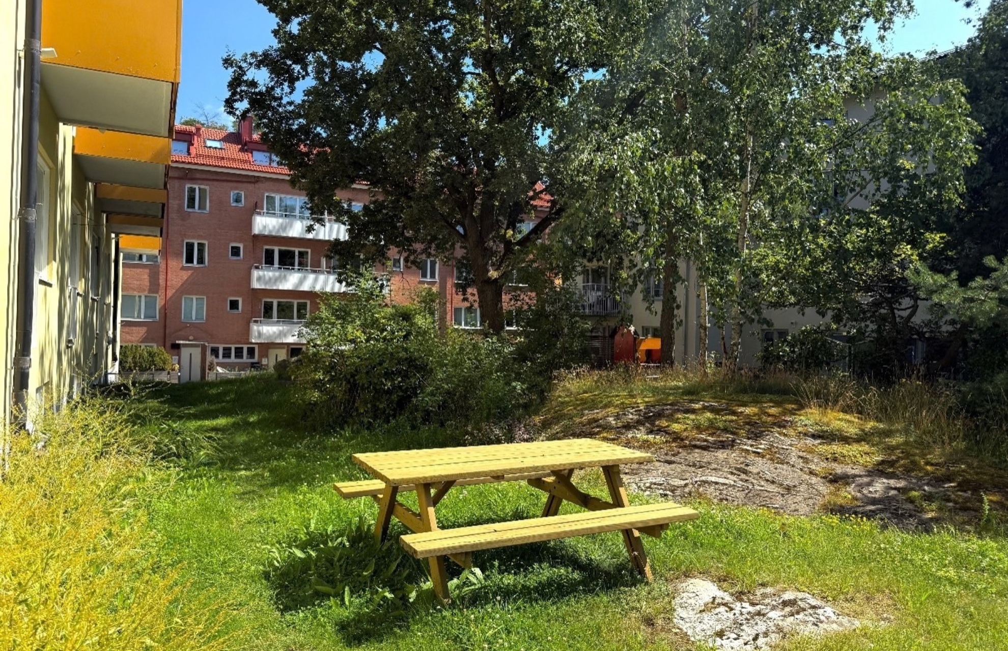 Ett soldränkt grönområde med en picknickbänk mellan flerfamiljshus