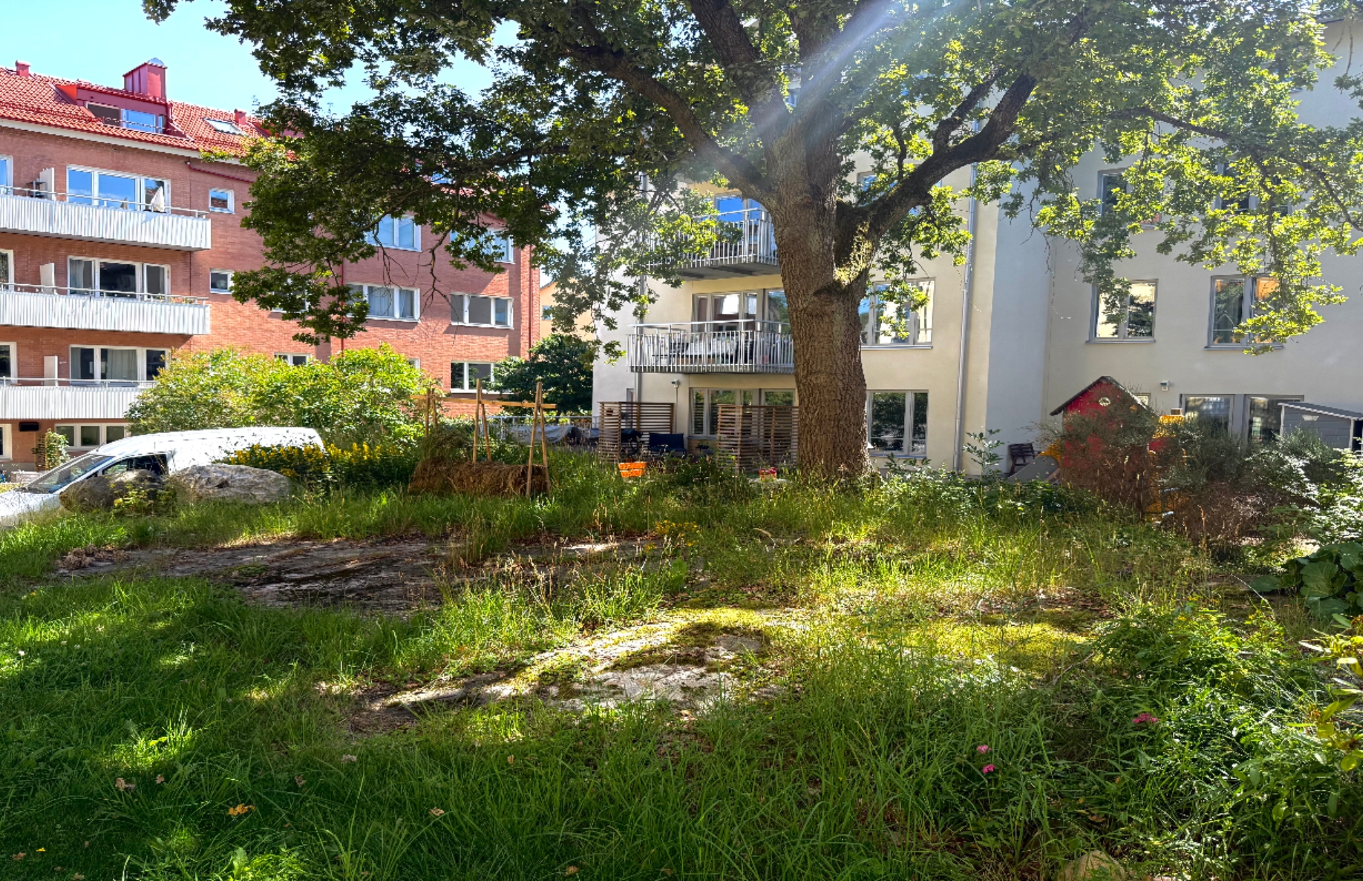 Ett mysigt och lummigt grönområde mellan flerfamiljshus